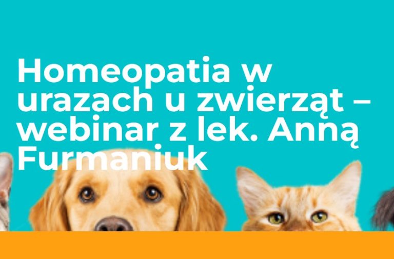 Homeopatia w urazach u zwierząt – webinar 13 listopada 2025 r. godz.18:00